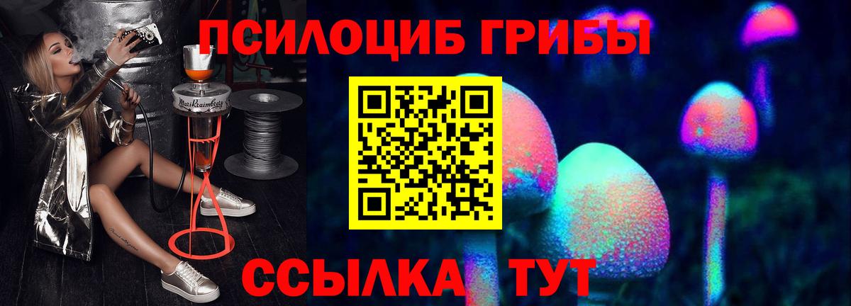 Азнакаево  где продают   Вход с VPN  Псилоцибиновые грибы Cubensis  Галлюциногенные грибы мицелий 